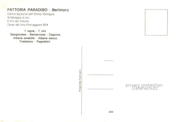 Bertinoro Forli Fattoria Paradiso – Bild 2