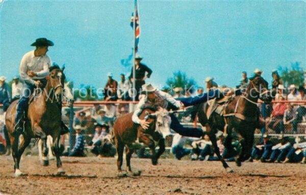 Pferdesport Pferderennen Reitsport Rodeo Calgary Stampede