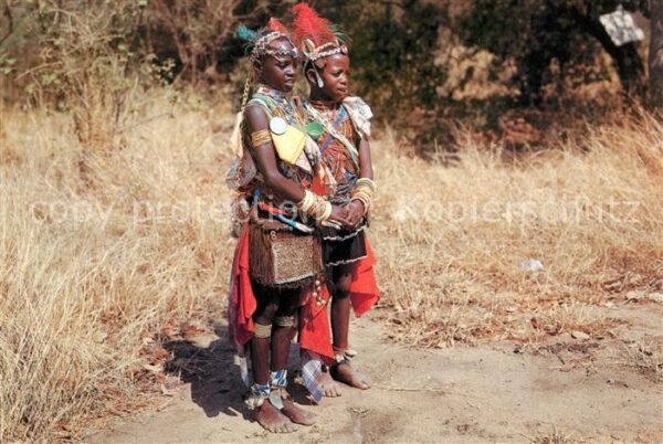 Typen Afrika Pedi Tribe South Africa