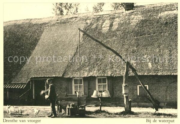Drenthe Bij de waterput Hühner