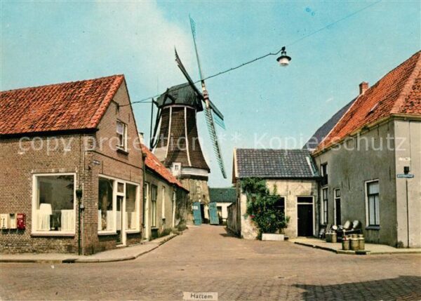 Hattem Zwolle Molen de Fortuin