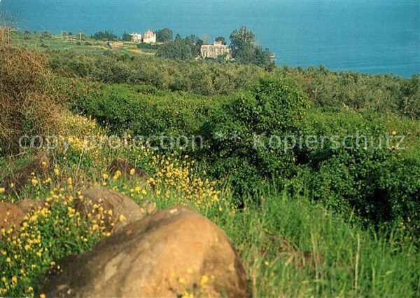 Israel See Genezareth Kloster Synagogenruine