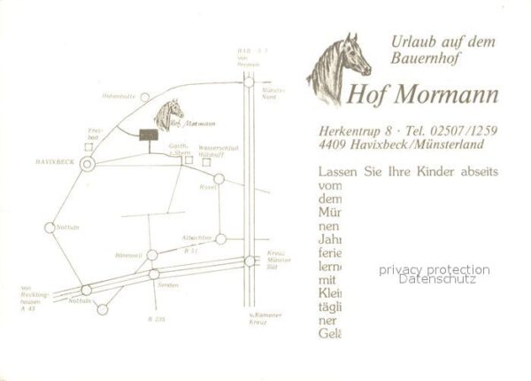 Havixbeck Hof Mormann Pferde – Bild 2