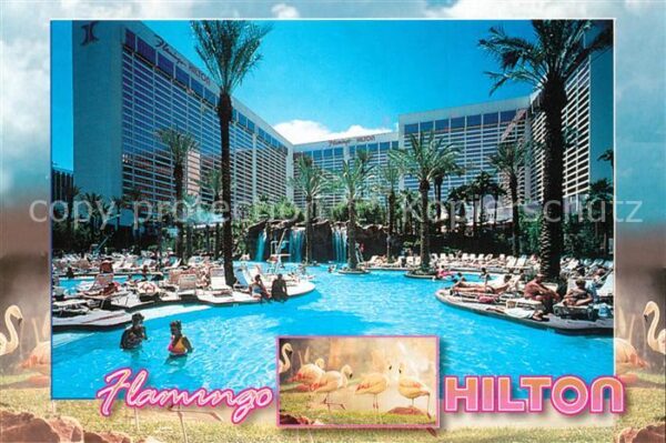 Las Vegas Nevada Flamingo Hilton Swimmingpool