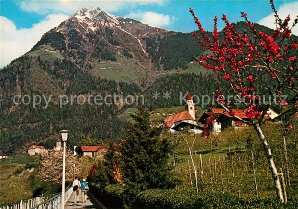 Dorf Tirol Schloss Tirol Mutspitze Falkner Weg