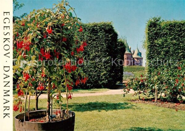 Egeskov Fuchsiahaven