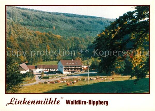 Rippberg Ponyhof Gasthof Pension Linkenmühle