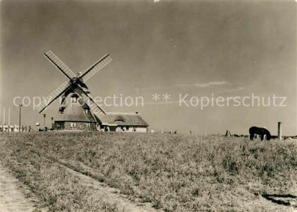 Gross Stieten Gasthaus Mecklenburger Mühle Tierzucht