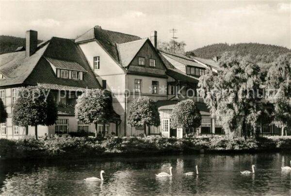 Ilsenburg Harz Forellenteich