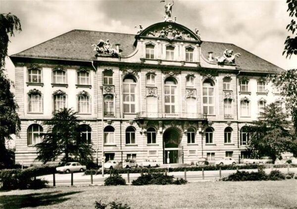 Frankfurt Main Senckenberg Museum
