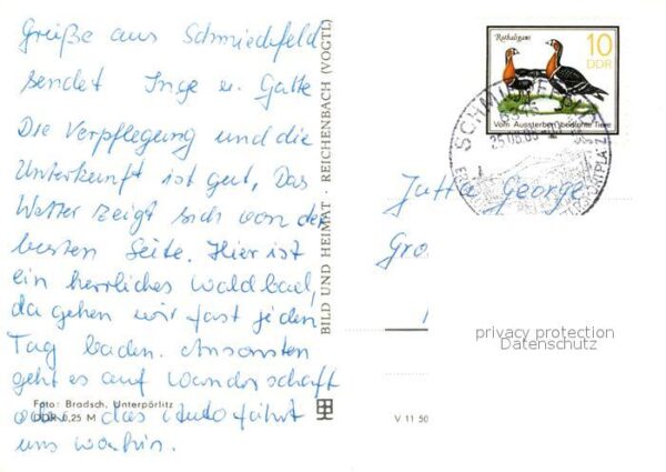 Schmiedefeld Rennsteig Panorama – Bild 2
