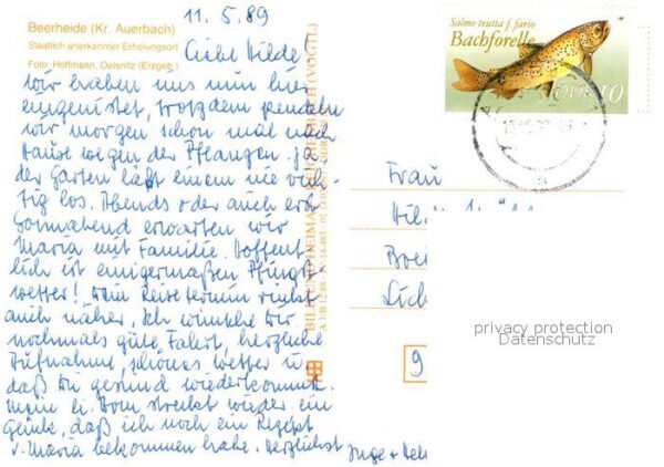 Beerheide Panorama Bungalow Siedlung Freilichtbüh – Bild 2