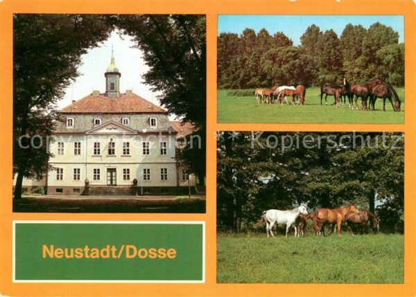 Neustadt Dosse VE Hauptgestüt Schloss Stuten mit Fohle