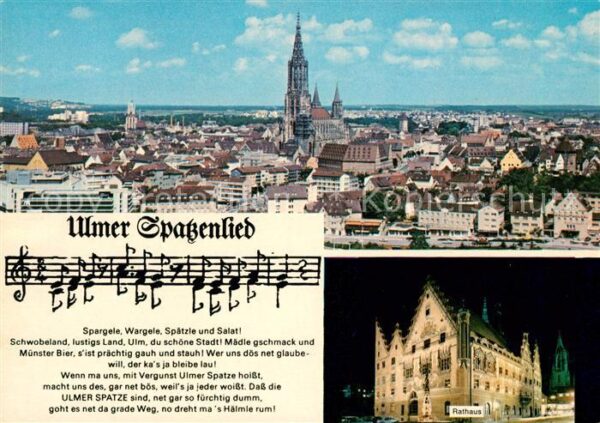 Ulm Donau Stadtblick Münster Ulmer Spatzenlied