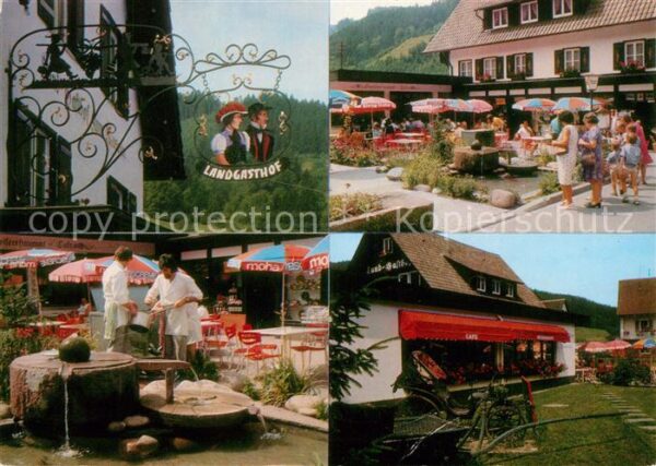 Gutach Schwarzwald Landgasthof zum Museum Terrasse Brunnen
