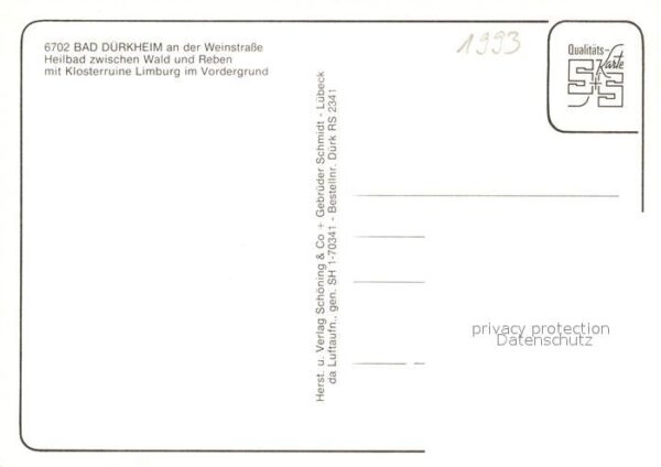 Bad Duerkheim Klosterruine Limburg Fliegeraufnahme – Bild 2
