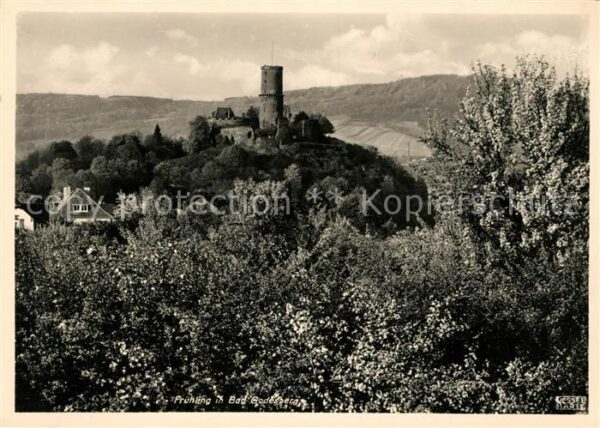 Bad Godesberg Burgruine