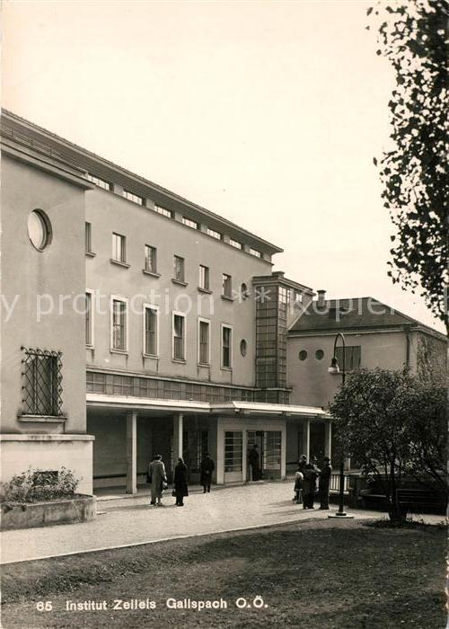 Gallspach Institut Zellspach