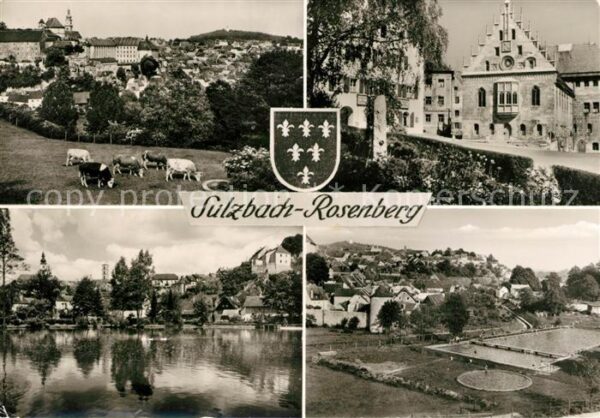 Sulzbach-Rosenberg Schwimmbad Rathaus Panorama