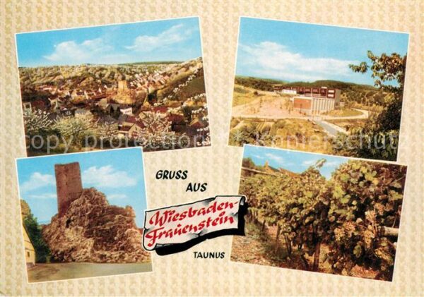 Frauenstein Wiesbaden Ruine Reben Panorama