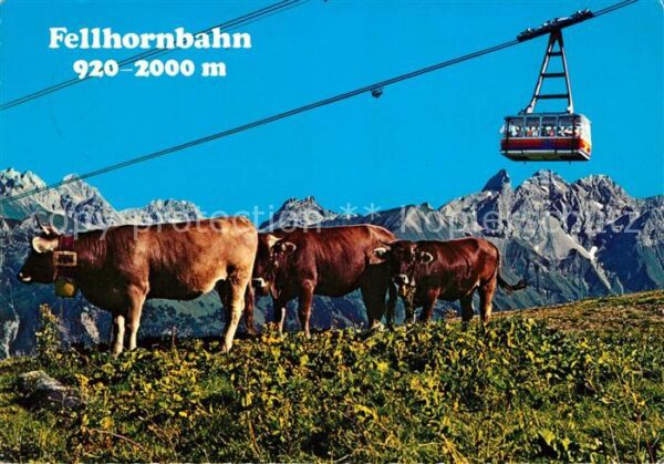 Seilbahn Fellhorn Oberstdorf Birgsautal Trettach