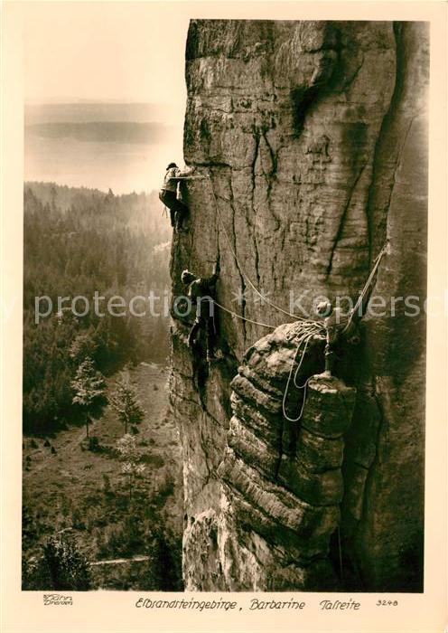 Foto Hahn Nr. 3240 Elbsandsteingebirge Barbarine Tals