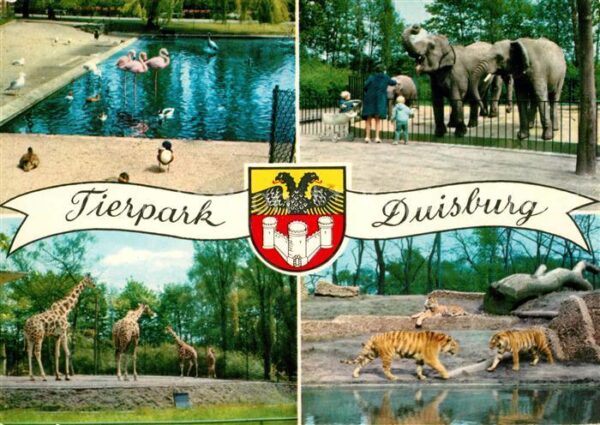 Zoo Duisburg Flamingo Elefanten Tiger Giraf