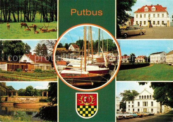 Putbus Ruegen Tierpark Gaststätte Rosencafe Rathaus