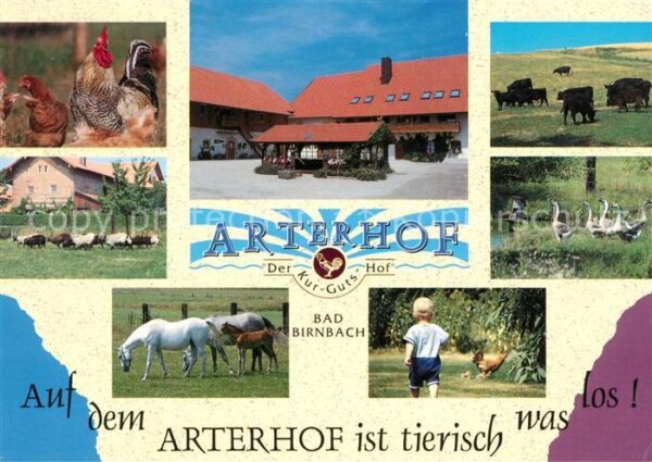 Bad Birnbach Arterhof