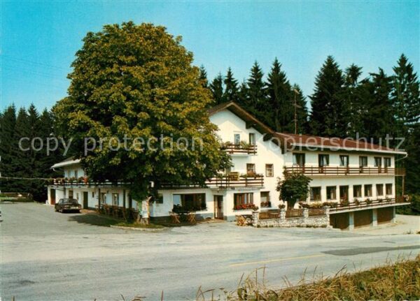 Ampflwang Hausruckwald Gasthof-Pension Zum grünen Wald