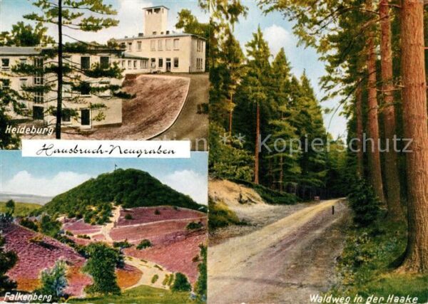 Neugraben Hausbruch Heidelburg Waldweg in der Haake Falkenb
