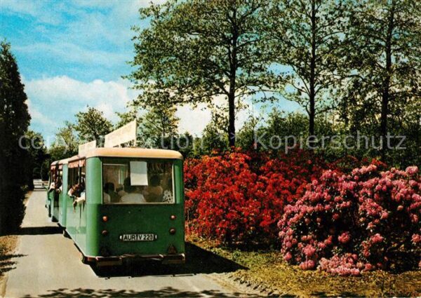 Wiesmoor Gärtnerei Azaleen Rhododendronkulturen