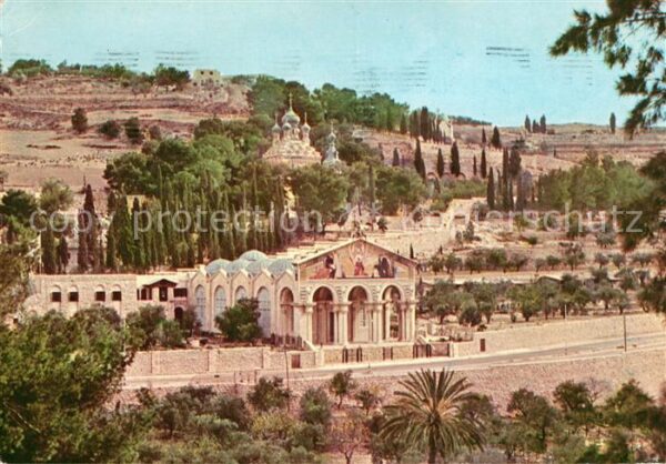 Jerusalem Yerushalayim Basilica Gethsemane