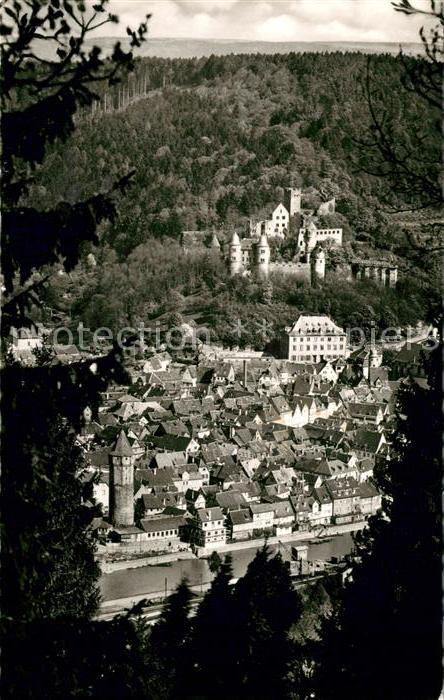 Wertheim Main Panorama