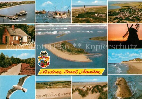 Amrum Fliegeraufnahme Insel Möve Windmühle Le