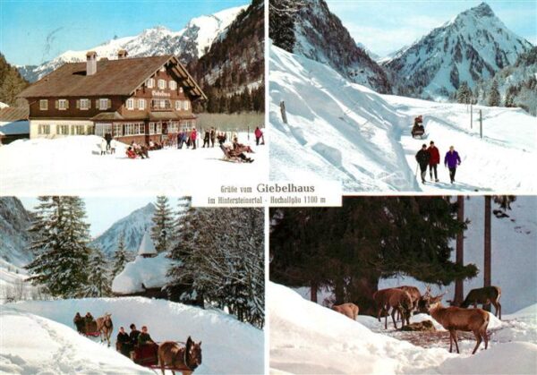Hintersteinertal Giebelhaus Pferdeschlitten Hirsche Wint