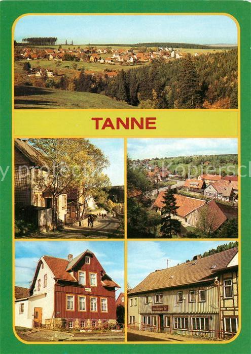 Tanne Harz Schierker Weg Ferienheim Waldheim Gasts