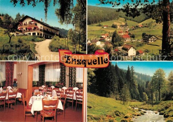 Gompelscheuer Hotel Enzquelle