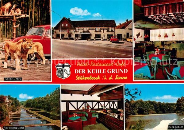 Stukenbrock Hotel Der Kühle Grund Safari-Park Forel