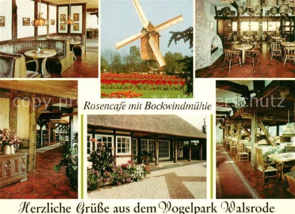 Walsrode Lueneburger Heide Vogelpark Rosencafe Bockwindmühle