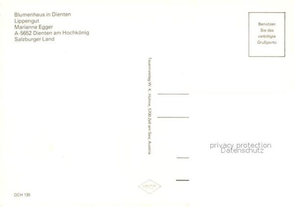 Dienten Hochkoenig Blumenhaus – Bild 2