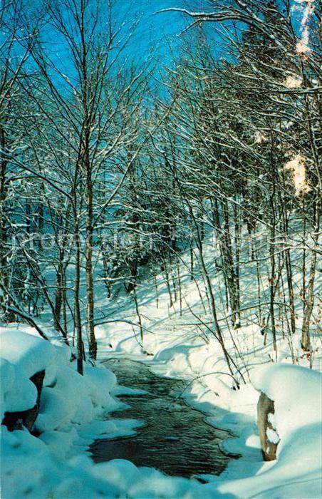 Janetville Winterlandschaft Bachlauf
