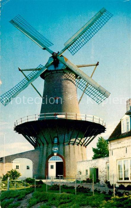 Sluis Zeeland Molen Windmühle
