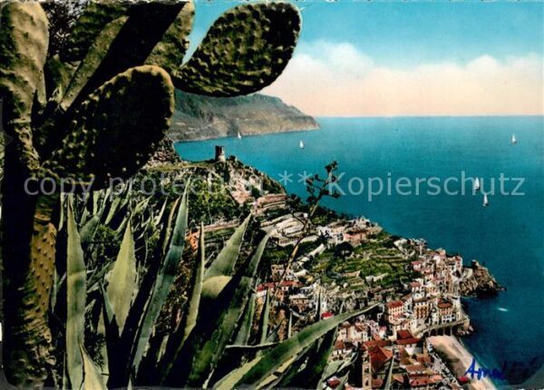 Amalfi Panorama Küste Kaktus