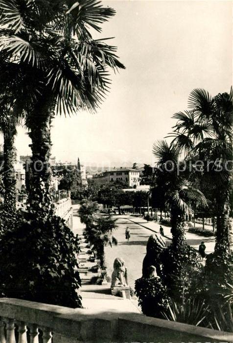 Opatija Abbazia Promenade Palmen