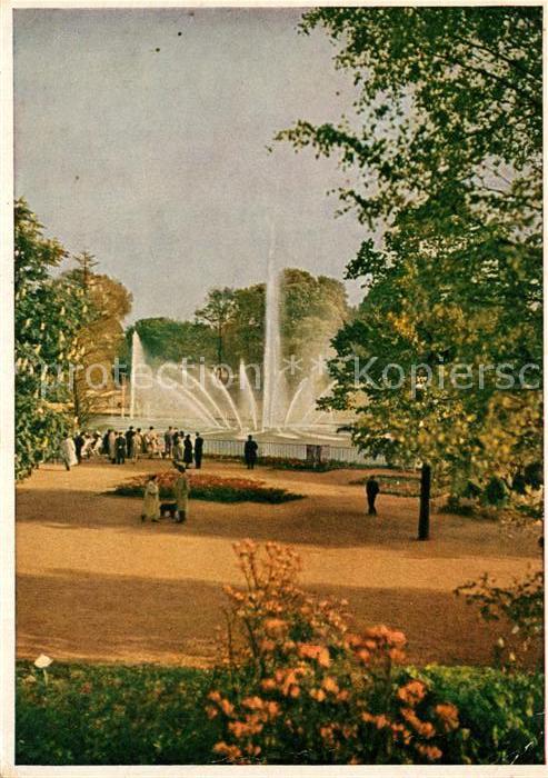 Hamburg Planten un Blomen Ausstellungspark Rose