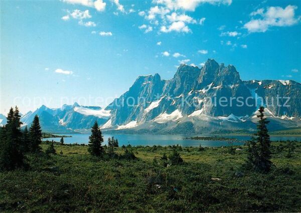 Jasper Alberta Jasper National Park Tonquin Valley wit