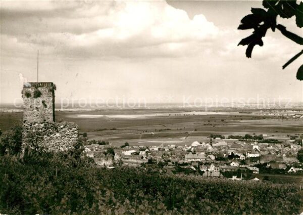 Wachenheim Weinstrasse Landschaftspanorama Blick von der Wacht