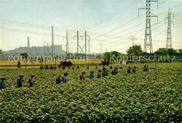 Shanghai Rural area of the city Feldarbeiter