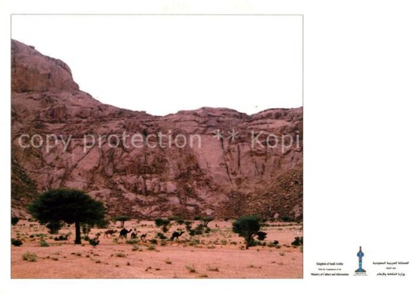 Al Quassem Tukhfah Mountains Landschaftspanorama B